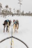 180212_1163.jpg