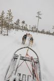 180212_1164.jpg