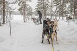180212_1219.jpg