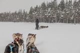 180212_1229.jpg
