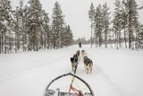 180212_1280.jpg