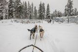180212_1298.jpg