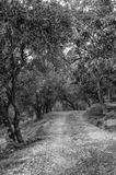 120919_1811-Edit.jpg