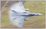 hornet2.jpg