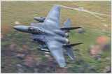 CC-7.png