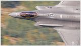 Gator flight  tail 5616