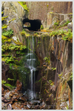 Waterfall.png