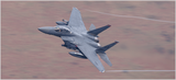 Rico-6.png
