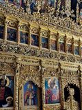 IMG_5227.jpeg