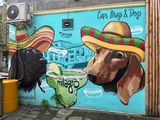 IMG_5592.jpeg