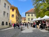 IMG_5927.jpeg