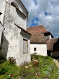 IMG_5984.jpeg