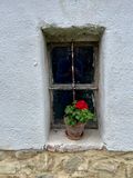 IMG_5994.jpeg