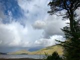 IMG_3897.jpeg
