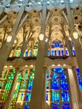 IMG_6426.jpeg