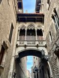 IMG_6781.jpeg