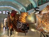IMG_6529.jpeg