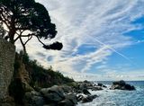 IMG_7092.jpeg