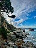 IMG_7093.jpeg