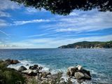 IMG_7095.jpeg