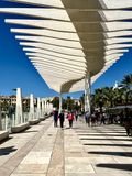 Palmeral de las Sorpresas