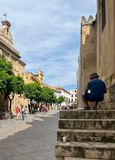 IMG_8817.jpeg