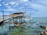 IMG_0484.jpeg
