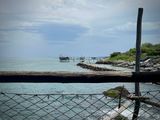 IMG_0486.jpeg
