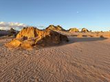IMG_1365.jpeg