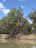 Darling River Run, at the Old Wharf, Pooncarie