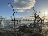 Lake Cawndilla, Kinchega NP, Menindee