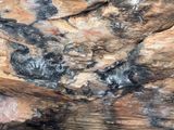 IMG_1897.jpeg
