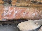 IMG_1903.jpeg