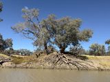 Darling River, Bourke North