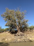 Darling River, Bourke North