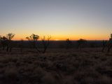 Mount Oxley, Bourke