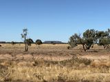 Mount Oxley, Bourke
