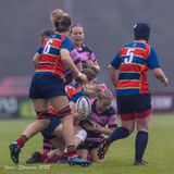 js_2022_ayr_broughton_041.jpg