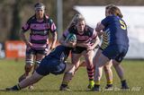 js_2022_dundee_ayr_018.jpg