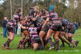 js_2022_howe_ayr_002.jpg