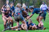 js_2022_howe_ayr_005.jpg