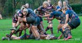 js_2022_howe_ayr_006.jpg