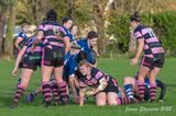 js_2022_howe_ayr_011.jpg