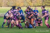 js_2022_howe_ayr_012.jpg