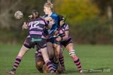 js_2022_howe_ayr_018.jpg