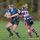 js_2022_howe_ayr_025.jpg