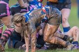 js_2022_howe_ayr_028.jpg
