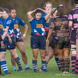 js_2022_howe_ayr_030.jpg