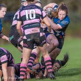 js_2022_howe_ayr_032.jpg