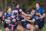 js_2022_howe_ayr_033.jpg